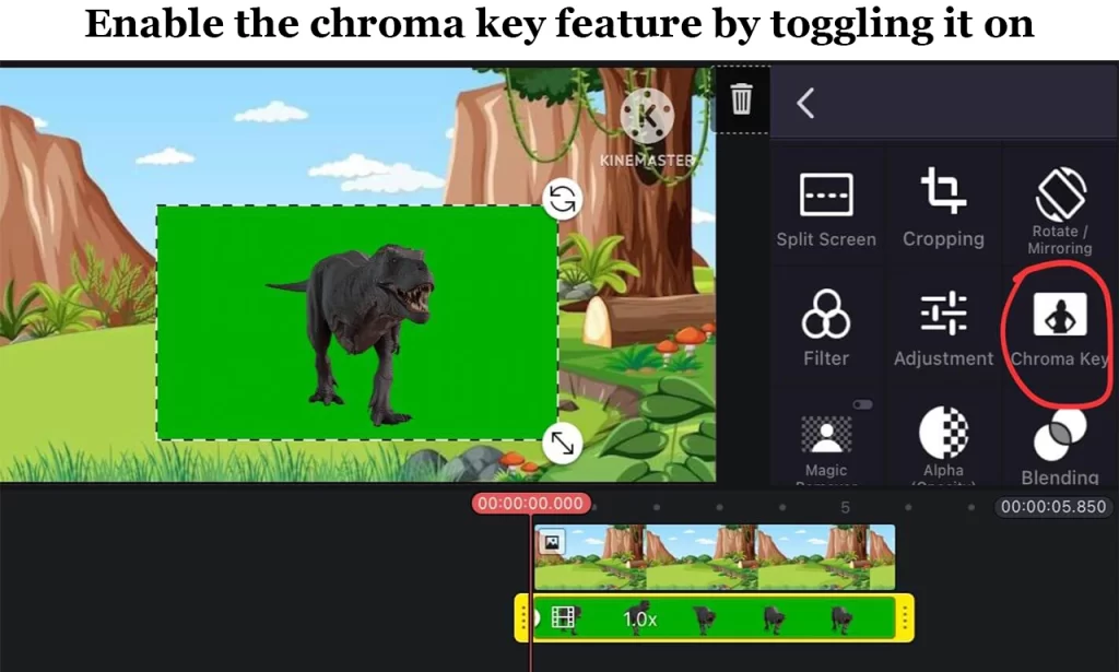 Apply Chroma Key
